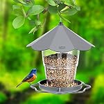 Hanizi Wild Oiseaux pour l'extérieur, Oiseau suspendu Proof d'écureuil, Oie d'extérieur Graines d'oiseaux sauvages, Décoration de cour de jardin (Grey)