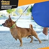 Hunde Agility Tunnel - Hundetunnel Spieltunnel Agilitytunnel Hundehöhle inkl Heringe und Transporttasche 300 x 50 cm