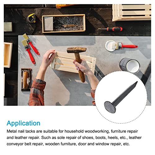 image for METALLIXITY Nails Tacks (4x13mm) 500pcs, Metal Hardware Nails Studs - 