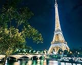 EINFACH - Farbe ist ungiftig und sicher hochwertige Acrylfarben. Sie können ein wunderschönes und exquisites Bild malen, egal wie gut Sie zeichnen können. Sie müssen keine Grundlagen des Malens beherrschen.