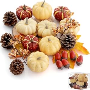 Artgarpumpkindecorset23pcsfallharvestdecorationsincludingminipumpkinsacornspineconesberriesmapleleavesforhometableweddingdiyfallhalloweenthanksgivingdecor  Urban Country Home Decor Artgar pumpkin decor set 23 pcs fall harvest decorations including mini pumpkins acorns pinecones berries maple leaves for home table wedding diy fall halloween thanksgiving decor  urban country home decor