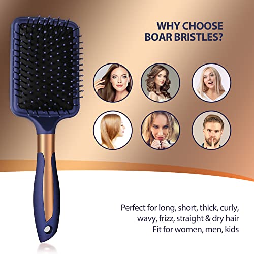 Hair Brush Set Anti Static Massage Oval Comb Round Hair Brush Vent Hair Brush Detangling Brush Paddle Brush for Women Men Blue - Image 4