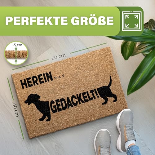 Bodenständig® Fußmatte Kokos [Wetterfest] - extrem robust - Fußabtreter außen - die Kokosmatte Fußmatte außen wetterfest. Fussmatte aussen 40x60 cm - Hereingedackelt Schriftzug