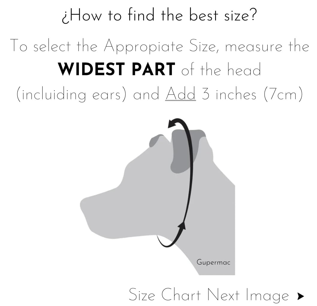 GUPERMAC Dog Chain Collar (Made in USA) 304 Stainless Steel Metal Chew Proof Dog Necklace Anti Winding Dog Leash Extension Lead for Small Medium Large and Extra Large Dogs Training (Medium 20'')