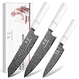 DRGSKL Japanese Knife Set Damascus - VG10 Kitchen Knife Set 3 PCS for Fruit, Vegetables, Fish and Meat - Japanese G10 Handle - with Gift Box