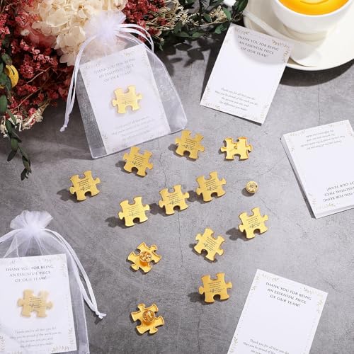 Employee Appreciation Gifts Puzzle Piece Lapel Pin Bulk Inspirational Thank You Cards for Team Coworker Staff Gifts4