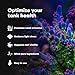 Brightwell Aquatics Iodion Iodide Supplement for Corals Clams Fish Macroalgae Enhances Polyp Extension Lighting Tolerance in Reef Marine Aquariums, 500 ml