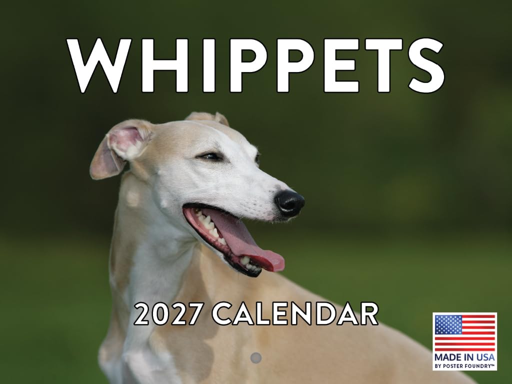 Whippet Calendar 2027 Monthly Wall Calender 12 Month