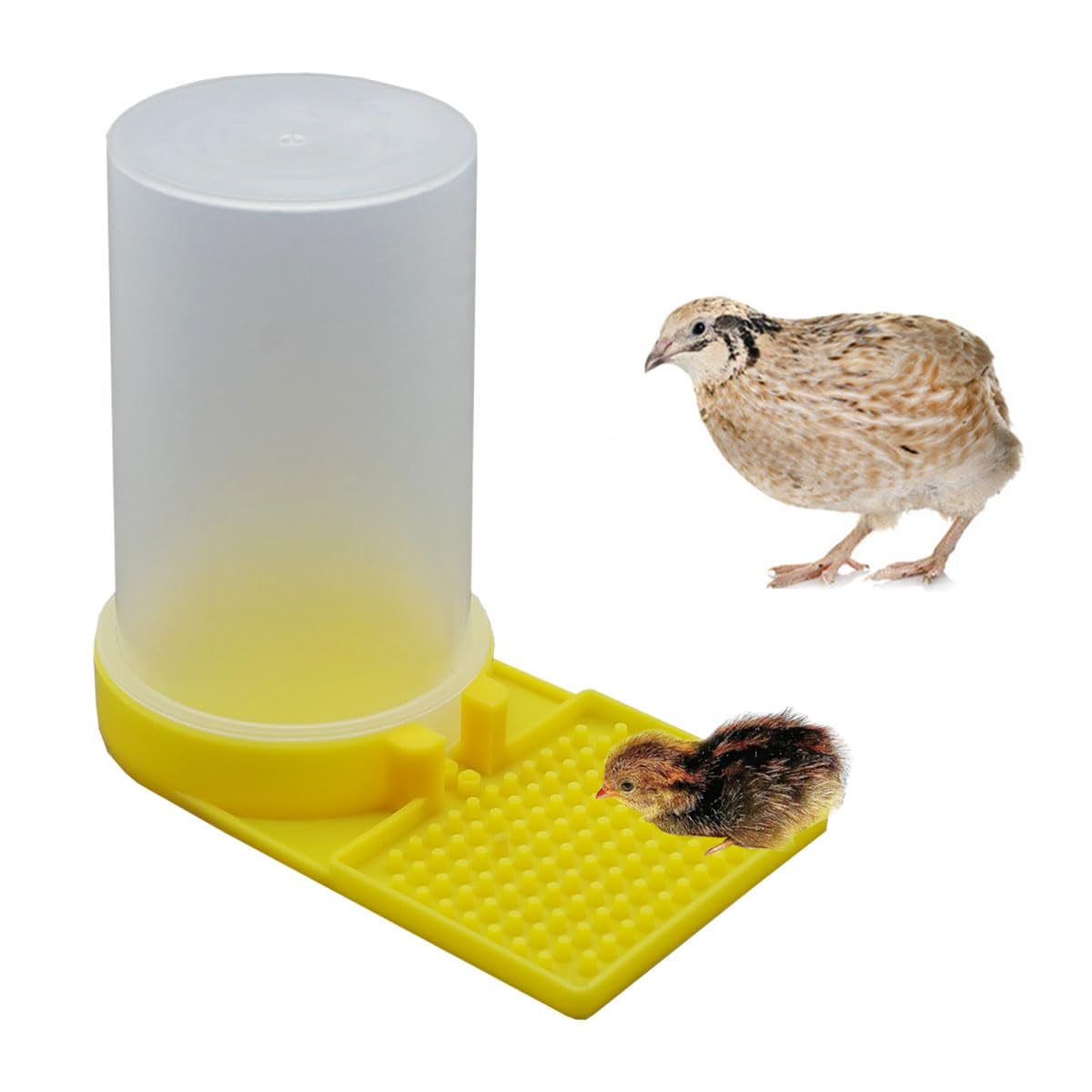FOIBURELY Baby Bird Button Quail Yellow Water Feeder - feeding and watering supplies pet | Mubboo
