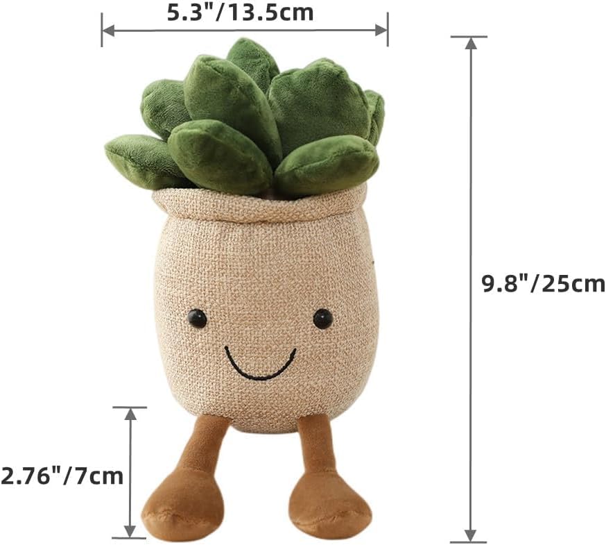 La mejor comparación de Plantas que Puedes Comprar On-line. 24 Imagen adicional