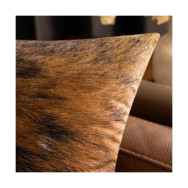   urban country home decor
