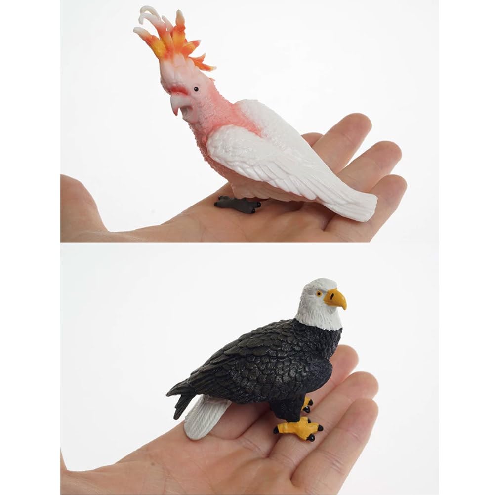 Montessori Vogel Tierfiguren, realistische Vogelmodell-Spielzeuge, pädagogisches Wildtier-Nachbildungsset für Kleinkinder (8 Stück)