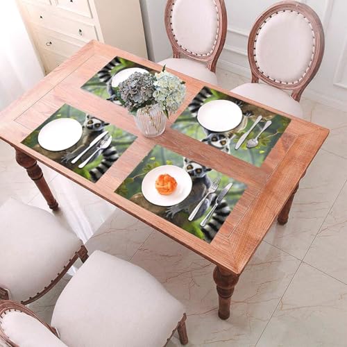 Lot de 6 sets de table lémurien en PVC lavable résistant à la chaleur