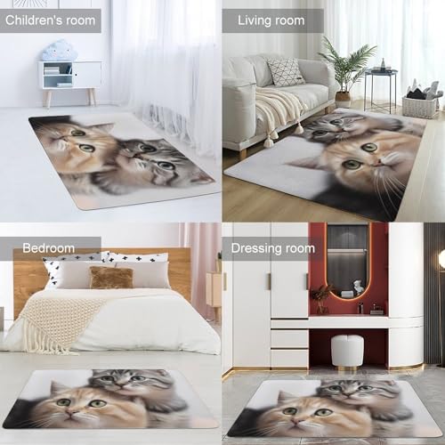 Tapis de salon lavable et antidérapant en velours corail unique