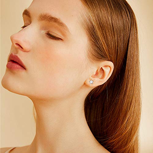Loyallook 12 Pairs Earrings For Women Studs Set Dainty Surgical Steel Earrings Tiny Cz Flower Heart Star Ball Silver Stud Earrings For Women #TOP6