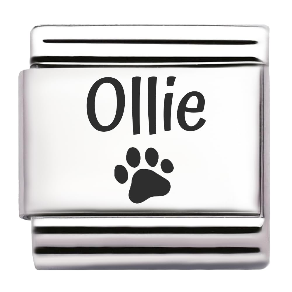 Pet Paw Name Personalised Custom Engraved Italian Charm Fits All 9mm Bracelet Links. Dog or Cat (Ollie)