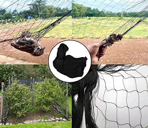 Volierennetz Linsocle 7,5 m x 15 m Vogelschutznetz in Schwarz
