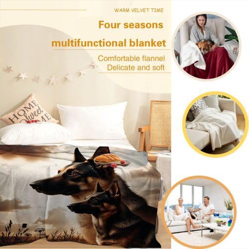 Couverture Polaire 240 x 260 Animal Chien, Couverture Polaire Grande Taille 240x260 cm | Usage Multiple comme Couette d'Appoint, Assure Une Protection Contre Le Froid D339