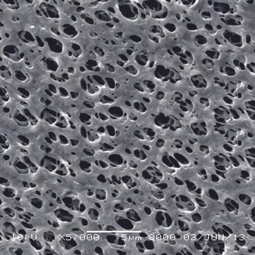 GVS 1213780 Filtration Membrane, Nylon 293mm 0.45 µm (Pack of 25)