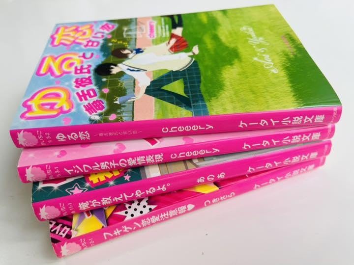 小説セット  野いちご 携帯小説セット 野いちご 魔法のiらんど ピンキー文庫 - メルカリ