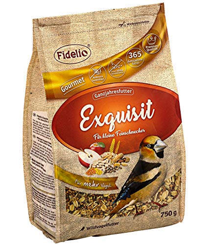 Fidelio Comida para pájaros Silvestres, Exquisito, sin cáscara, 750 g