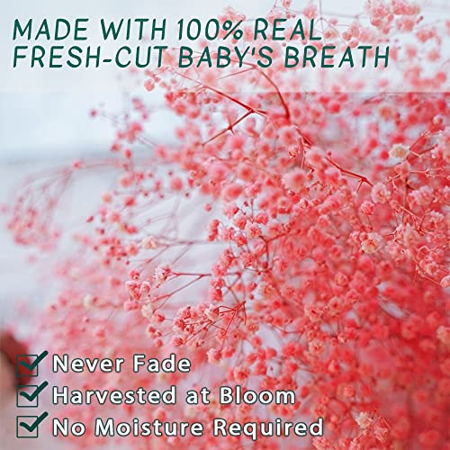 Dried-Babys-Breath-Flowers-Bouquet, 17.2In 2500+ Pink Flower, Natural Gypsophila Branches For Wedding, Gift For Mother Friend, Dry Flowers Bulk For Vase, Home Party Decor, Diy Wreath Floral(3Oz Pink) #TOP1