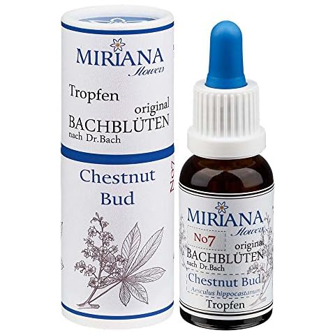 MirianaFlowers Chestnut Bud 20ml Bachblüten Stockbottle Cover