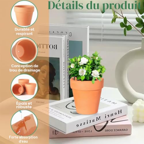 Petits pots de fleurs en terre cuite pour décoration de table