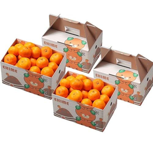 Ε ݂ Ɏ|ʂ݂ 2.5kg×2 ̂ 󂠂 S`3STCY ݂񔠓 QY ~J  Mtg