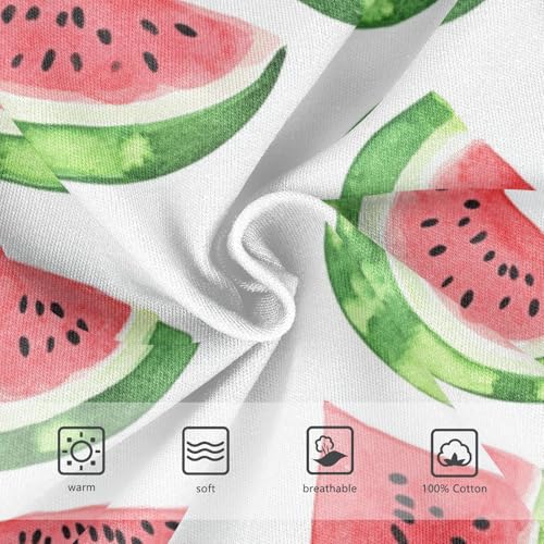 Wusikd Watercolor Red Boys' Underwear Cotton Red Watermelon Boys Briefs Soft Toddler Underwear 2T3