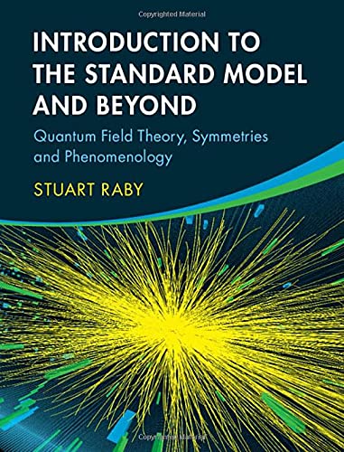 Introduction to the Standard Model and Beyond: Quantum Field Theory, Symmetries and Phenomenology