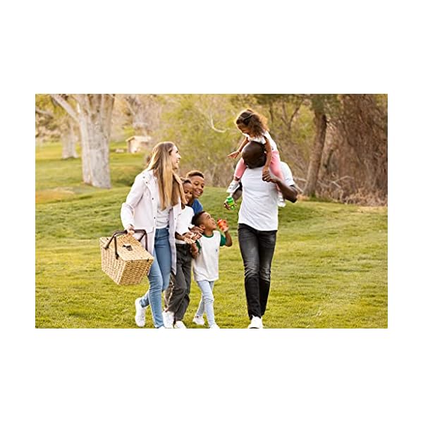 Balance-Of-Nature-Fruit-and-Vegetable-Supplements-90-Fruit-and-90-Veggie-Capsules-Green-and-Red-Superfood-Better-Than-A-Multivitamin-Vegan-No-Fillers-or-Extracts-100-Natural-Whole-Food Balance of Nature Fruits and Veggies - Whole Food Supplement with Superfood Fruits and Vegetables for Women, Men, and Kids - 90 Fruit Capsules, 90 Veggie Capsules - 1 Set