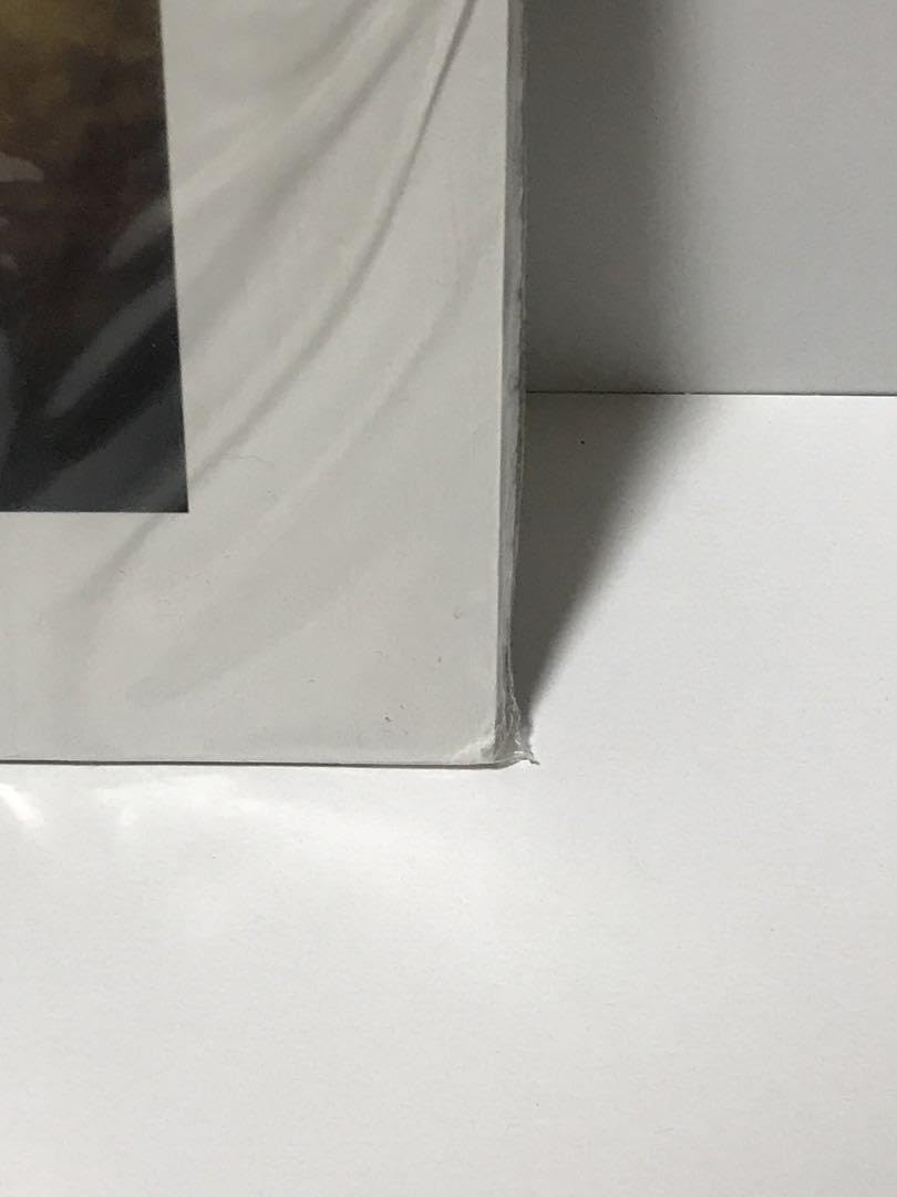 Amazon.co.jp: SUN KIL MOON Benji [Promo] : おもちゃ