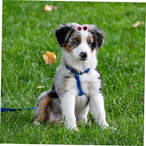 VICASKY 12stücke Teiliges Hund Haarschmuck Mit Sonnenbrillen-Design Hübsche Haarspangen Für Haustiere Für Hunde Und Katzen Dekoration Für Besondere Anlässe Und Alltag