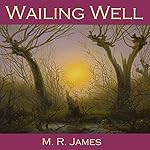 Cover of Wailing Well