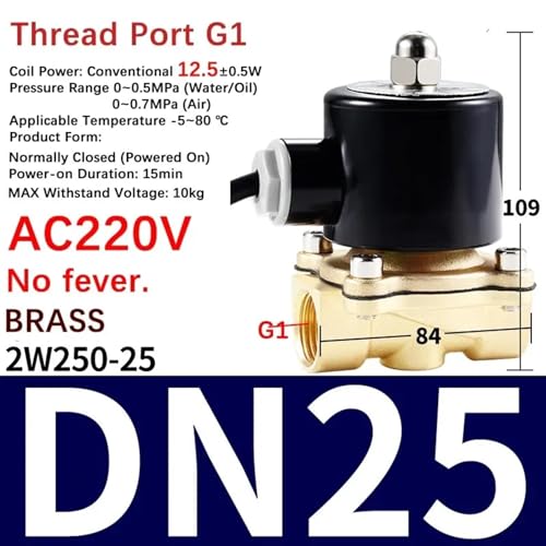Électrovanne 2W DN25 220V pour stopper les fuites d'eau et sécuriser les conduits