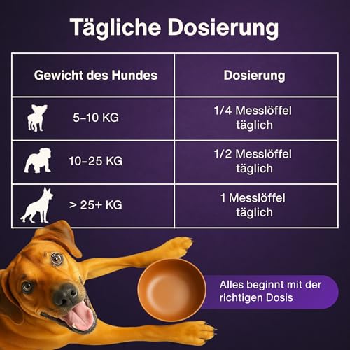 Dr. Flex Kollagen B‑Komplex Pulver für Hunde, Hochdosiert für Gelenke, Knorpel, Muskeln Vitalität mit Rinder Meereskollagen, Glucosamin, Hyaluronsäure essenziellen Vitaminen