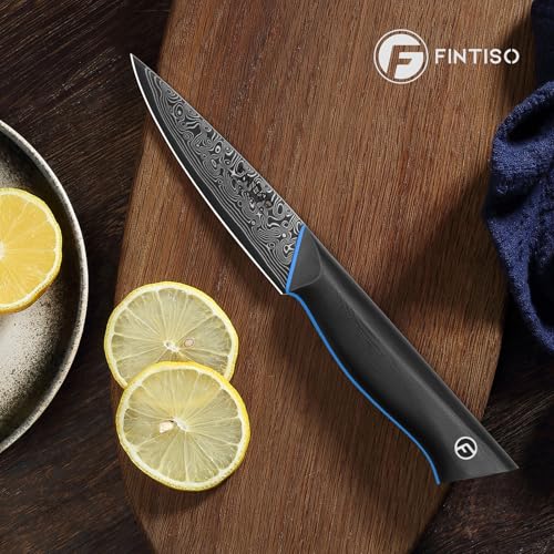 Image of 3.75 Inch Paring Knife, Fruit Knives with G10 Handle, 67-Layer Japanese Damascus Steel Forged Small Kitchen Knife, Ultra Sharp Knves with Exquisite Package
