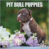 RED EMBER Pit Bull Puppies 2022 Hangable Wall Calendar - 12' x 24' Opened - Thick & Sturdy Paper -...