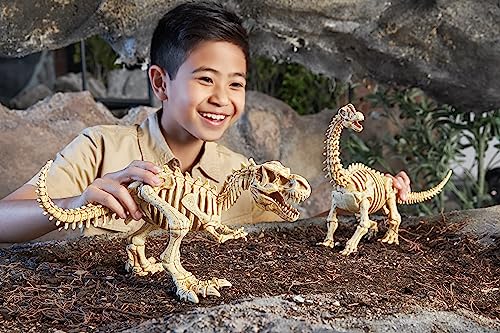 Regalo científico de cumpleaños infantil con fósiles de Brontosaurus 6