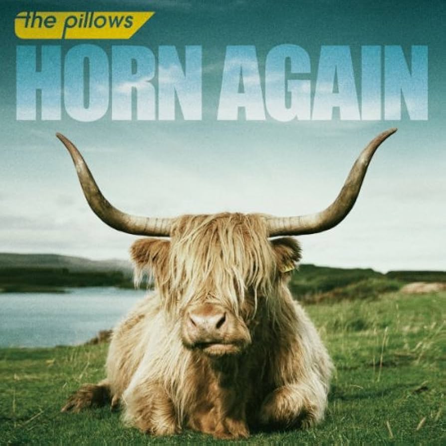 Amazon.co.jp: HORN AGAIN - the pillows (DVD付): ミュージック