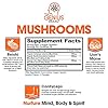 Genius-Mushroom--Lions-Mane-Cordyceps-and-Reishi--Immune-System-Booster-Nootropic-Brain-Supplement--Wellness-Formula-for-Natural-Energy-Stress-Relief-Memory-Liver-Support-90-Veggie-Pills Genius Mushroom - Lions Mane, Cordyceps and Reishi - Immune System Booster & Nootropic Brain Supplement - for Natural Energy, Memory & Liver Support, 90 Veggie Pills
