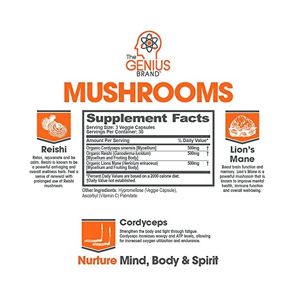Genius-Mushroom--Lions-Mane-Cordyceps-and-Reishi--Immune-System-Booster-Nootropic-Brain-Supplement--Wellness-Formula-for-Natural-Energy-Stress-Relief-Memory-Liver-Support-90-Veggie-Pills Genius Mushroom - Lions Mane, Cordyceps and Reishi - Immune System Booster & Nootropic Brain Supplement - for Natural Energy, Memory & Liver Support, 90 Veggie Pills