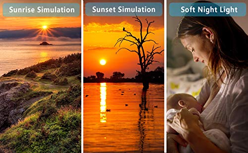 Wake Up Light Digital Alarm Clock Sleep Aid with Sunrise & Sunset Simulation for Bedroom, Bedside and Heavy Sleepers, Kids, with Dual Alarms, FM Radio, Snooze, Night Light, 7 Colors, 7 Natural Sounds Wake Up Light Digital Alarm Clock Sleep Aid with Sunrise & Sunset Simulation for Bedroom, Bedside and Heavy Sleepers, Kids, with Dual Alarms, FM Radio, Snooze, Night Light, 7 Colors, 7 Natural Sounds