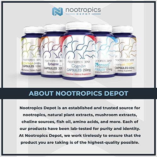 Nootropics Depot Vitamin D3 + K2 With Vitamin C Tablets | 60 Count | 125Μg | Equivalent To 5000 Iu #TOP2