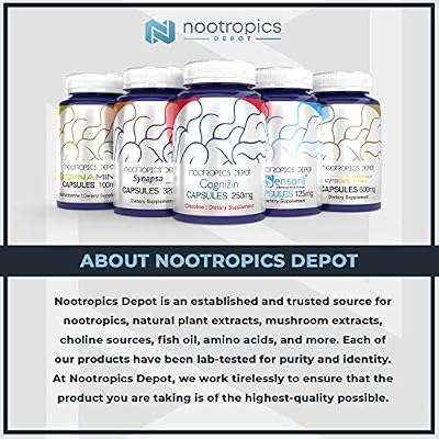 Nootropics Depot Acetyl L-Carnitine Capsules | 500mg Dominican Republic |  Ubuy