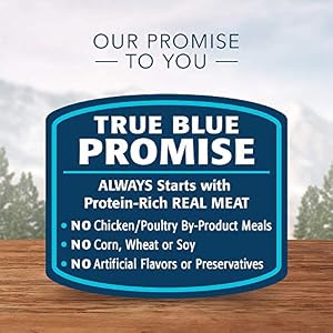 Blue Buffalo Wilderness Path Toppers Wild Cuts Excessive Protein, Pure Moist Canine Meals, Hen and Beef Bites, 3-oz Pouch, (48 Rely- 24 of Every Taste) Blue Buffalo Wilderness Path Toppers Wild Cuts Excessive Protein, Pure Moist Canine Meals, Hen and Beef Bites, 3-oz Pouch, (48 Rely- 24 of Every Taste)
