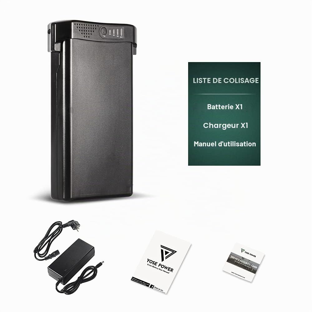 SEASON E-Bike Batterie pour Porte-Bagages 24V 10.4AH 269Wh, Convient aux Moteurs 24V250W, pour Vélo MIFA, Prophete, Peut Correspondre aux Phylion, PortaPower