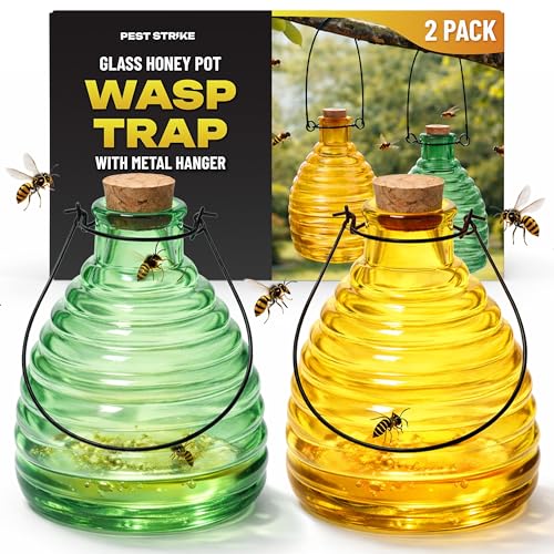 Glass Wasp Catcher - Attractive Hanging Wasp Catchers for the Garden with Metal Hanger and Cork - Honey Pot Design