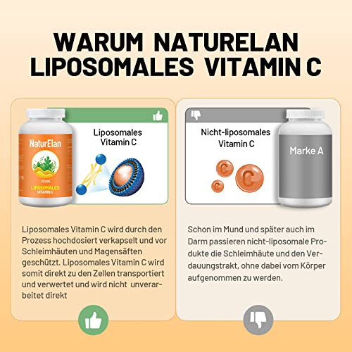 Liposomales Vitamin C Zink hochdosiert Kapseln 180 Kapseln, 1000mg